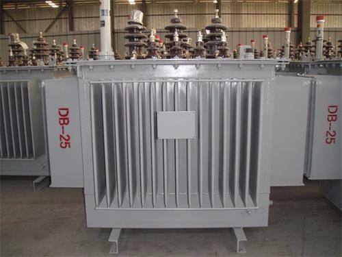 连云港S13-100KVA/10KV/0.4KV油浸式变压器